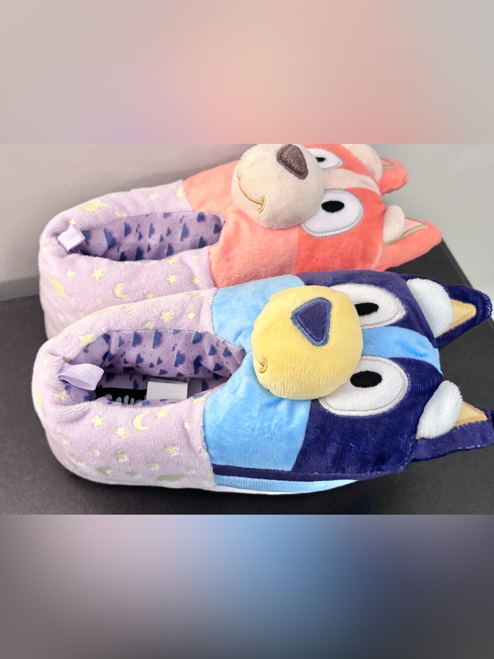 Bluey and Bingo slippers size 9/10 youth